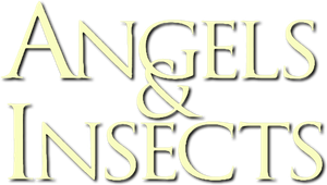 Angels and Insects's poster
