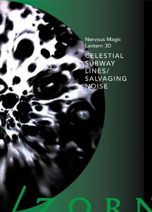 Celestial Subway Lines/Salvaging Noise's poster