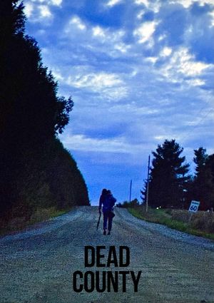 Last County's poster
