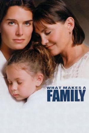What Makes a Family's poster