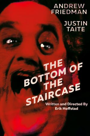 The Bottom of the Staircase's poster image