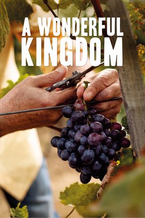 A Wonderful Kingdom's poster