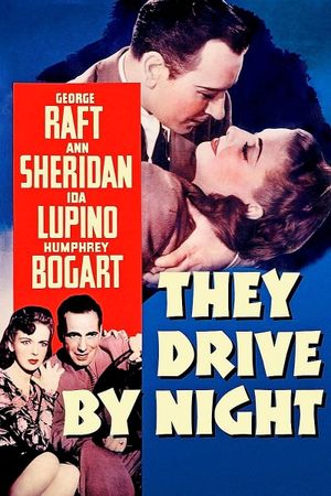They Drive by Night's poster