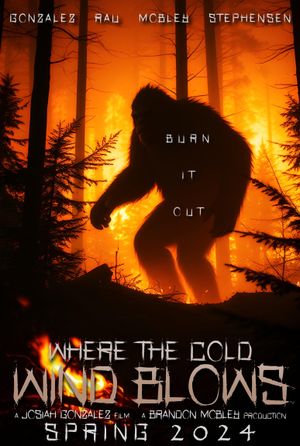 Where the Cold Wind Blows's poster