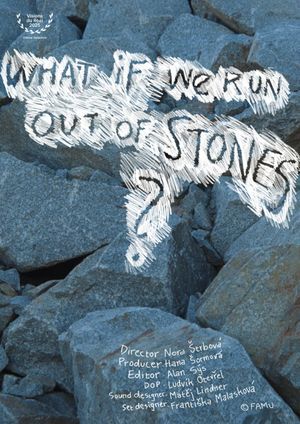 What If We Run Out of Stones?'s poster