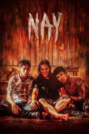 Nay's poster