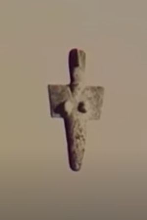 The Arrow of Time's poster image
