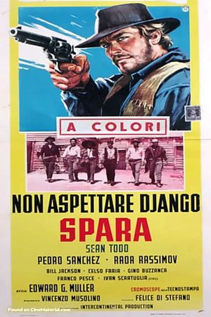 Don't Wait, Django... Shoot!'s poster