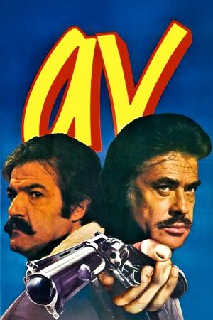 Av's poster