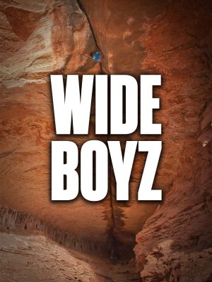 Wide Boyz's poster