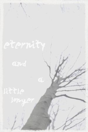 eternity and a little longer's poster
