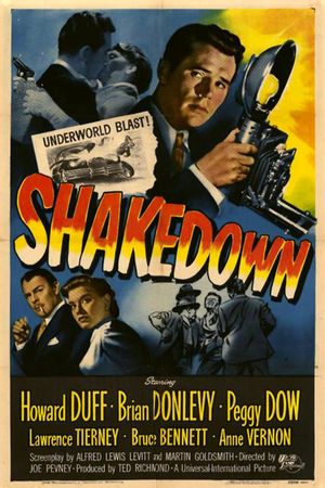 Shakedown's poster