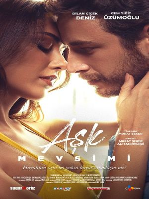 Season of Love's poster