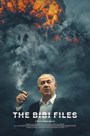The Bibi Files's poster