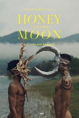 Honey to the Moon's poster image