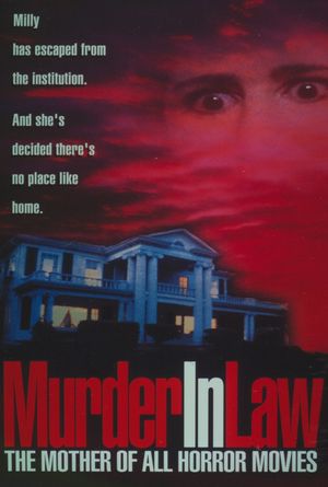 Murder in Law's poster