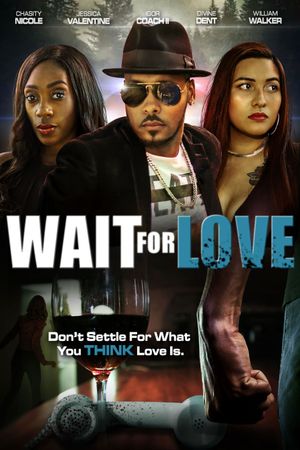 Wait for Love's poster