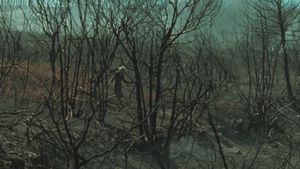 Fire Will Come's poster