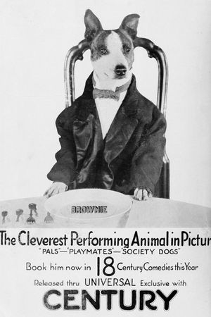 Society Dogs's poster