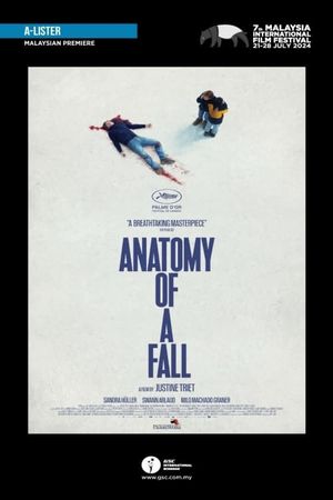 Anatomy of a Fall's poster