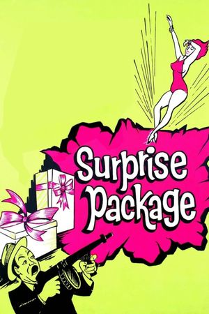 Surprise Package's poster