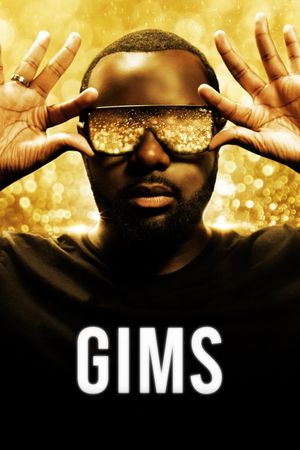 GIMS: On the Record's poster