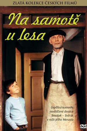 Na samote u lesa's poster