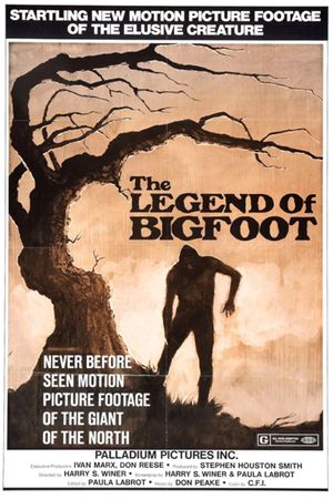 Bigfoot: Man or Beast?'s poster