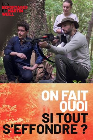 Martin Weill - On fait quoi si tout s'effondre ?'s poster