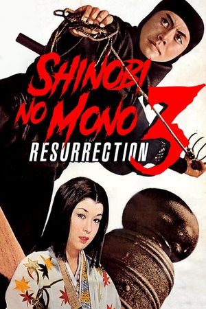 Shinobi No Mono 3: Resurrection's poster