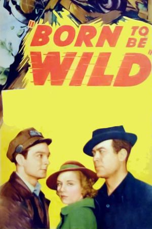 Born to Be Wild's poster