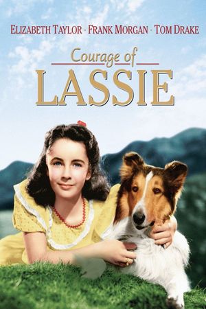 Courage of Lassie's poster