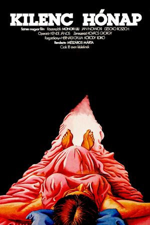 Nine Months's poster
