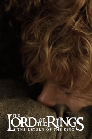 The Lord of the Rings: The Return of the King's poster