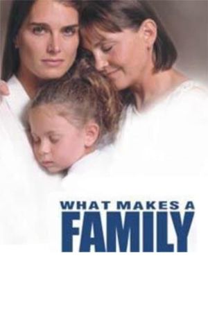 What Makes a Family's poster