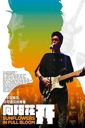 Sunflowers in full bloom's poster