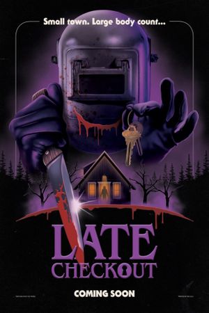 Late Checkout's poster
