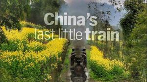 The Last Little Train in China's poster