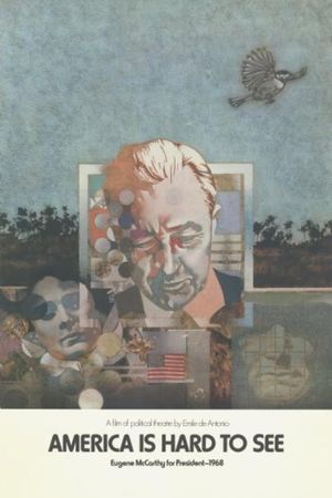 America Is Hard to See's poster
