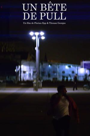 Un Bête de Pull's poster