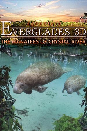 Adventure Everglades 3D - The Manatees of Crystal River's poster