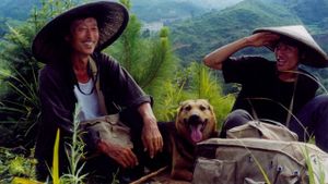 Postmen in the Mountains's poster