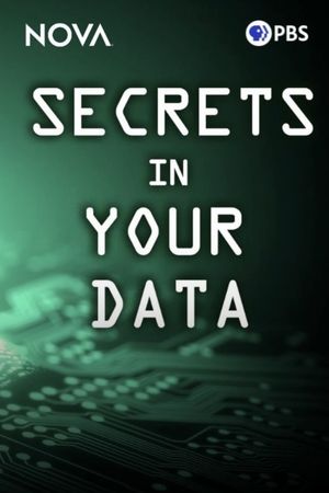 Secrets in Your Data's poster