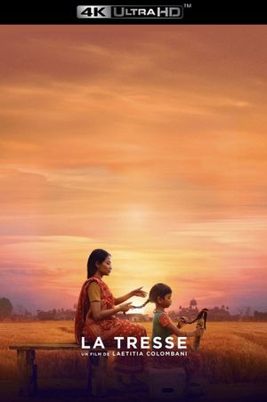 The Braid's poster