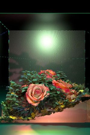 FLORALIA III's poster