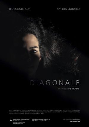 Diagonale's poster