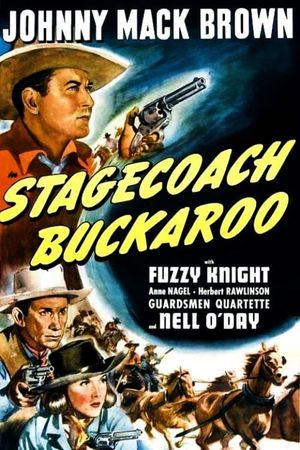Stagecoach Buckaroo's poster