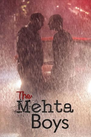 The Mehta Boys's poster