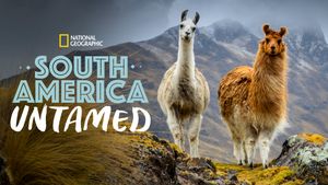 South America Untamed's poster