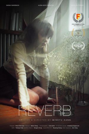 Reverb's poster